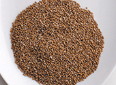 PERILLA OCYMOIDES SEED OIL